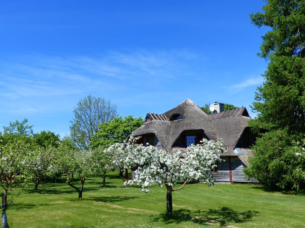 Toomalõuka Tourist Farm Exterior foto