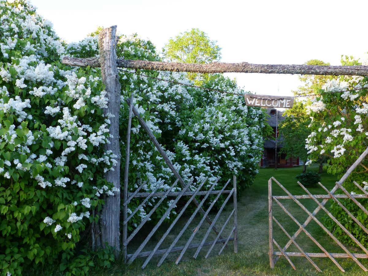 Toomalõuka Tourist Farm Exterior foto